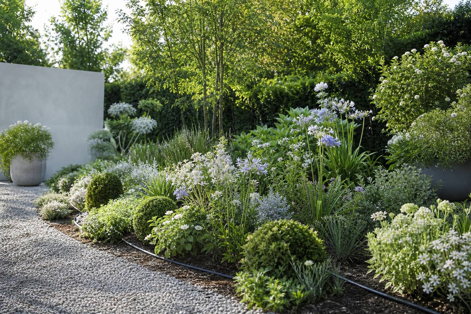 Les meilleures techniques pour arroser efficacement votre jardin en pleine canicule estivale